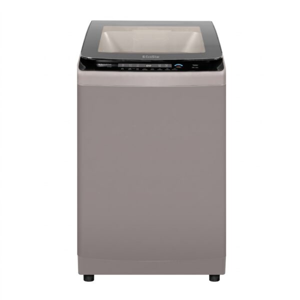 EcoStar EW-F9502 9.5KG Top Load Washing Machine