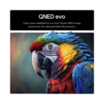 LG 55" QNED86 MiniLED QNED evo AI 4K UHD TV - Image 2